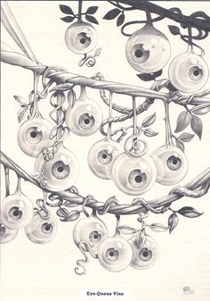 a drawing of some berries hanging from a tree branch