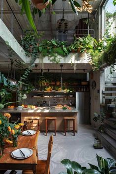 an open kitchen and dining area with plants hanging from the ceiling, along with wooden chairs