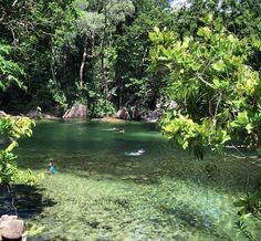 people swimming in the river surrounded by trees