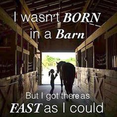 an image of a horse in a barn with the words, i was born in a barn but i got there as fast as i could