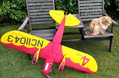 a cat sitting on a bench next to a toy airplane