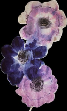 three purple and blue flowers on a white background