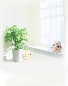 two teddy bears are sitting in front of a window sill with a potted plant