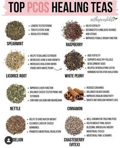 Healing Teas, Tea Remedies, دورة شهرية, Medical Herbs, Healing Tea, Herbal Teas Recipes, Menstrual Health, Natural Healing Remedies