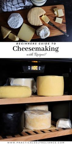 cheesemaking with recipes beginner's guide to cheesemaking and how to use it