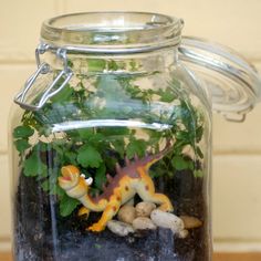 a glass jar filled with plants and small toy dinosaurs sitting on top of rocks in the dirt