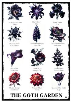 an image of flowers that are in the middle of a book cover for the goth garden