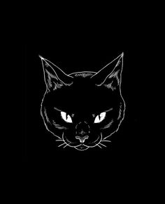 a black cat with glowing eyes on a dark background