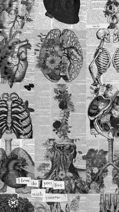 an old book with many different types of heart and lungs