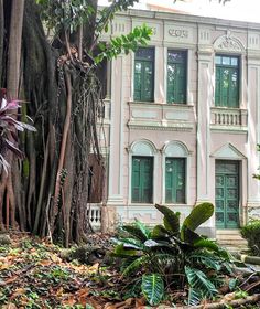 an old pink house surrounded by trees and leaves on the ground in front of it