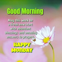 a white flower sitting on top of a pink flower next to a happy monday message