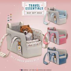 a small dog is sitting in a pet carrier