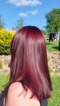 Short Red Hair Latina, Cherry Burgundy Hair Color, Red Coke Hair, Dark Red Hair Straight, Cherry Crush Hair Color, Medium Dark Red Hair, Pomegranate Hair Color, Cherry Hair Color Burgundy, Red Hair Dye On Brown Hair