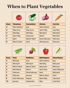 an image of vegetables that are labeled in the words when to plant vegetables