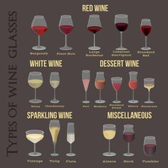 different types of wine glasses with names and description on the label, isolated on dark background