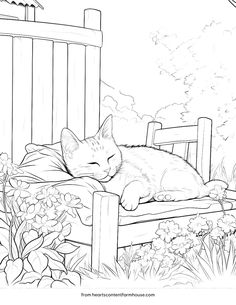 a cat sleeping on top of a wooden bench in the grass with flowers around it