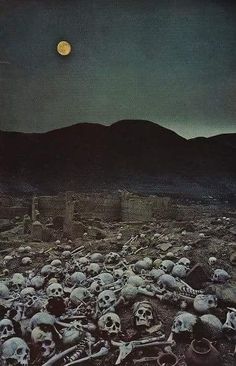 a large group of skulls in the middle of a field with mountains in the background