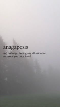 a foggy field with the words anagapesis written in black on it