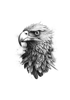 an eagle's head is shown in black and white