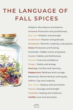 The language of fall spices, autumn aromatherapy, science of essentials, the meaning of spices Witchcraft Spices, Plant Correspondences, Witch Apothecary, Witch Spells, Kitchen Witch Recipes, Herb Life, Year Journal, Tea Remedies, Witch Tools