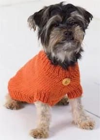 a small dog wearing an orange sweater sitting on top of a white floor and looking at the camera