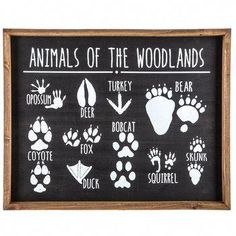 a blackboard with animals of the woodlandss written on it