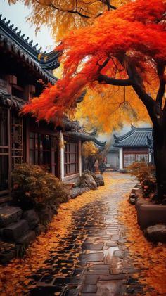 an autumn scene with red leaves on the trees and stone walkway leading up to buildings