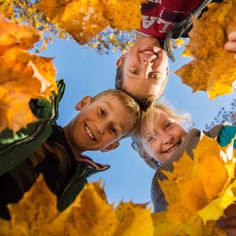 three children are standing in the leaves looking up into the sky with their hands on their heads