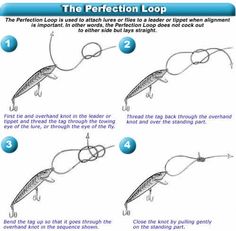 how to draw the perfect loop for alligators step by step drawing instructions with pictures