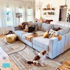 a dog is standing in the middle of a living room with a large sectional couch