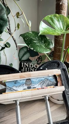 the inside of a wooden box with an owl painting on it and some plants in the background