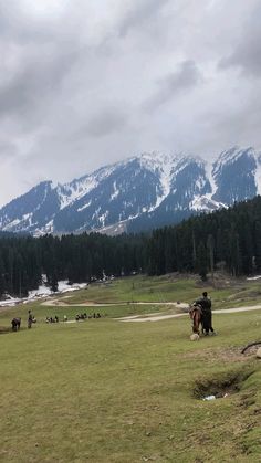 horses graze in an open field with mountains in the background, and snow on the top of the mountain