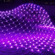 purple lights in the grass near a bush