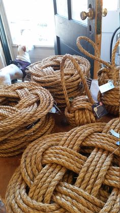 several ropes are piled on top of each other in front of a dog laying down