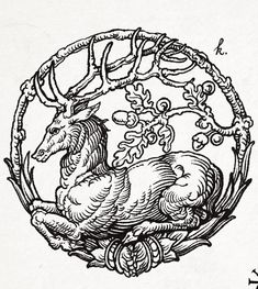 a drawing of an animal in a circle