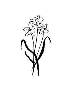 a black and white drawing of some flowers