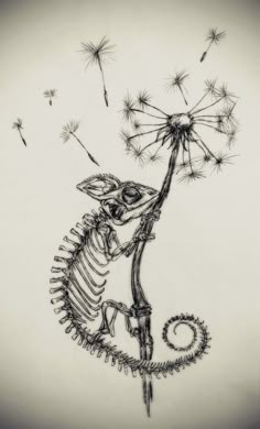 a drawing of a skeleton holding a dandelion