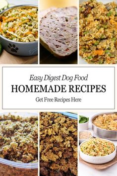 Top 10 Homemade Dog Food Easy To Digest Healthy Homemade Dog Food, Dog Treats Homemade Recipes, Food Easy, Ground Chicken, Healthy Homemade