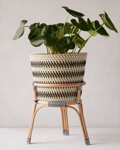 a potted plant sitting on top of a wooden stand