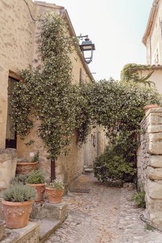 an alley way with potted plants on either side and stone buildings in the background