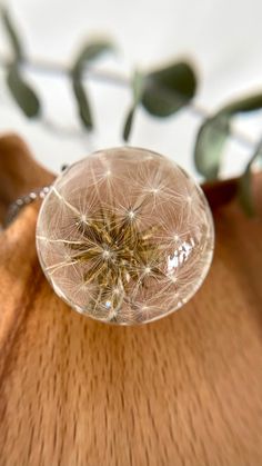 a dandelion sitting on top of a wooden table