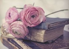 pink flowers on top of an old book with the title ya contemporary challenge 2014 hosted by kate's book blog