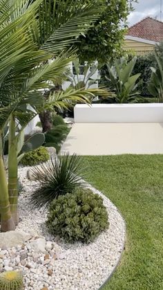 a white bench sitting in the middle of a lush green yard next to a palm tree