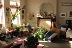 a living room filled with lots of plants next to a window covered in sun light