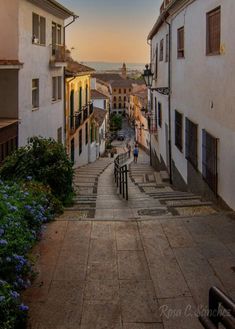 the sun is setting over an alleyway with buildings on both sides and blue flowers in the foreground