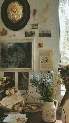 a cat standing on its hind legs in front of a table filled with pictures and flowers