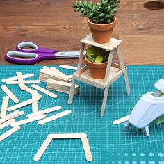 a potted plant sitting on top of a table next to wooden pegs and scissors