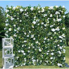 an artificial garden wall with white flowers and greenery in the center, surrounded by green grass