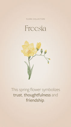 a yellow flower with the words,'this spring flower symbolizes trust, thoughtfulness and