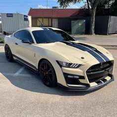 a white and black mustang parked in a parking lot